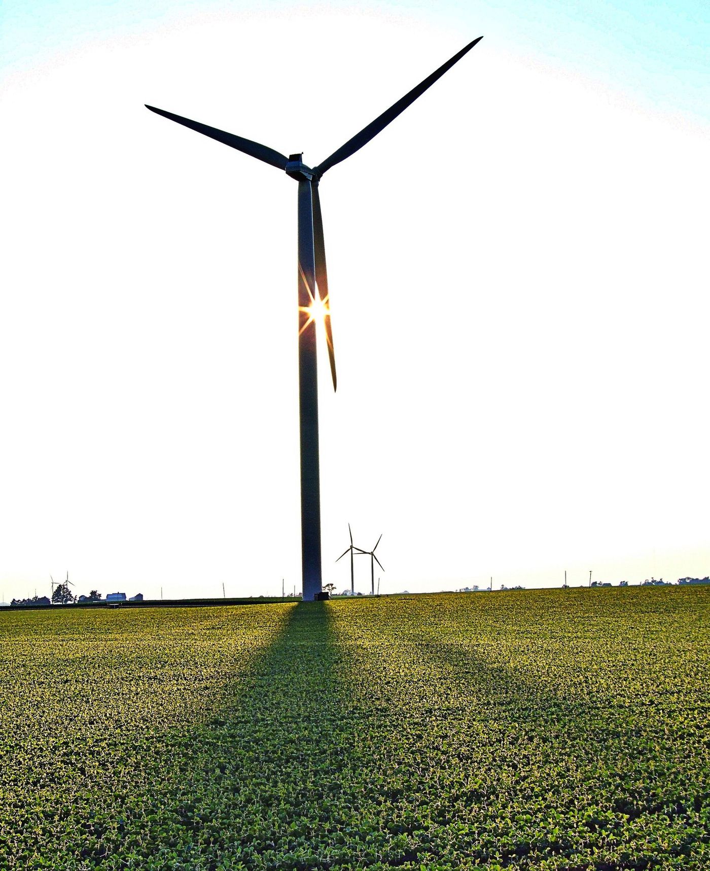Wind turbines over farmland in McLean County, Illinois